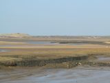 Erosion Control Burnham Overy harbour