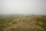 Fog at the Hut