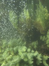 undersweb1.6