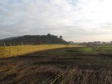 Greenhouse Project Sherringham
