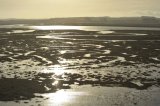Hut Marsh Tide rising