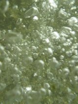 undersweb1.4