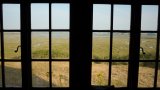 A view from The HUT